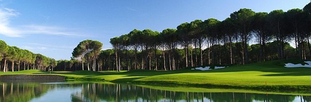 Carya Golf See